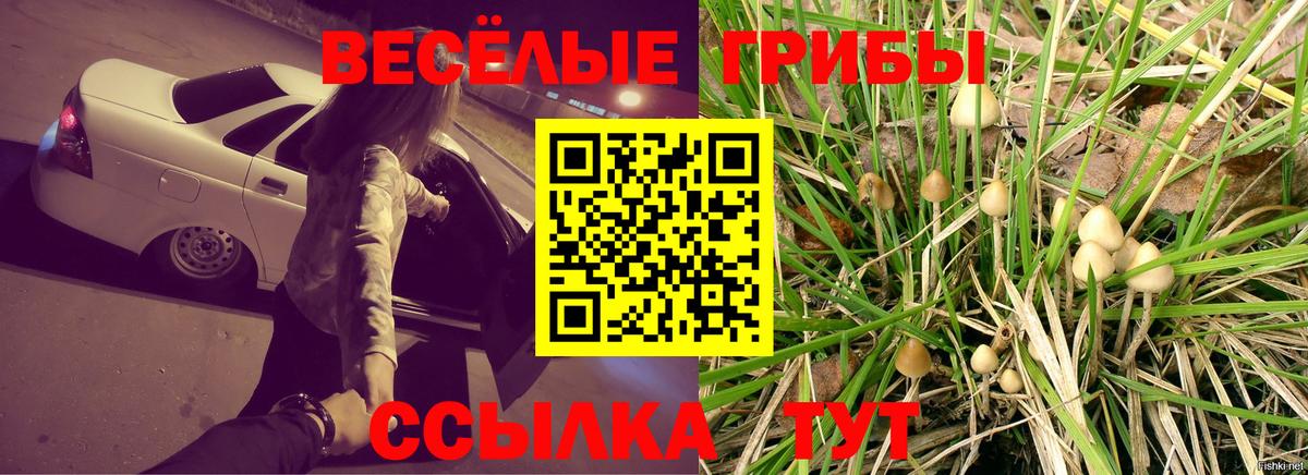 Псилоцибиновые грибы мухоморы Саянск